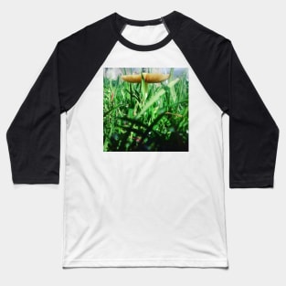 Mushroom Photography Prints #4 Baseball T-Shirt